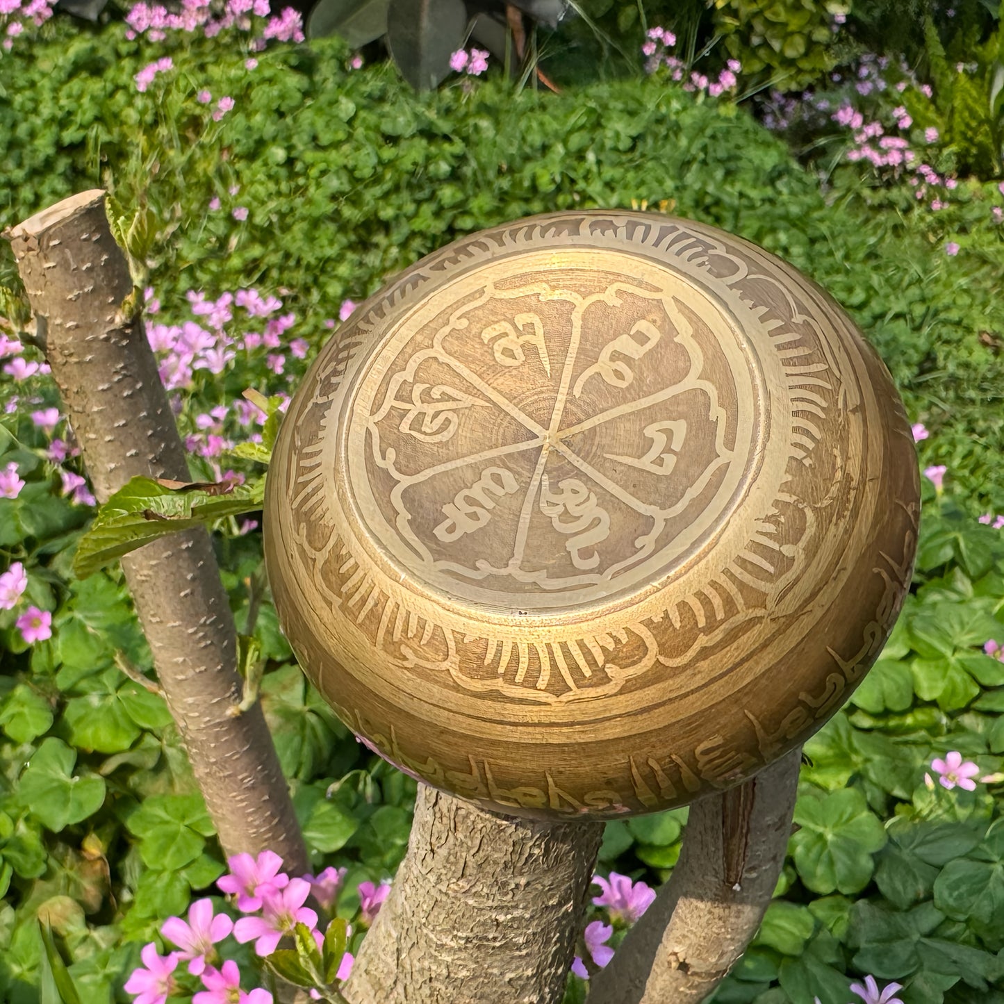 Blossom and Radiate Tibetan Singing Bowl Set for Meditation