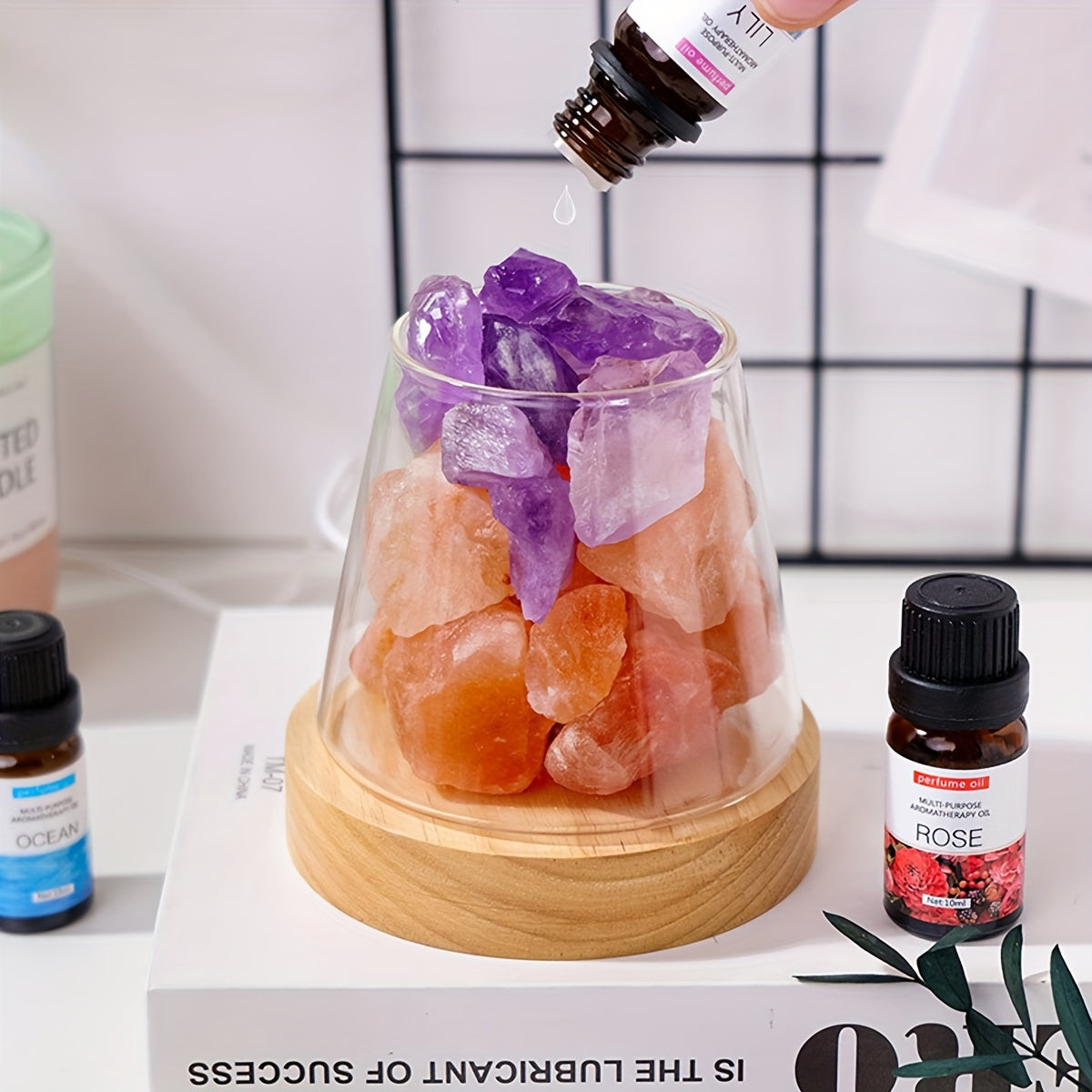 Blossom Radiate Natural Aroma Stone Diffuser USB Lamp