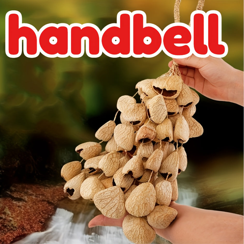 Seed Shell Shaker Percussion for ASMR and Meditation