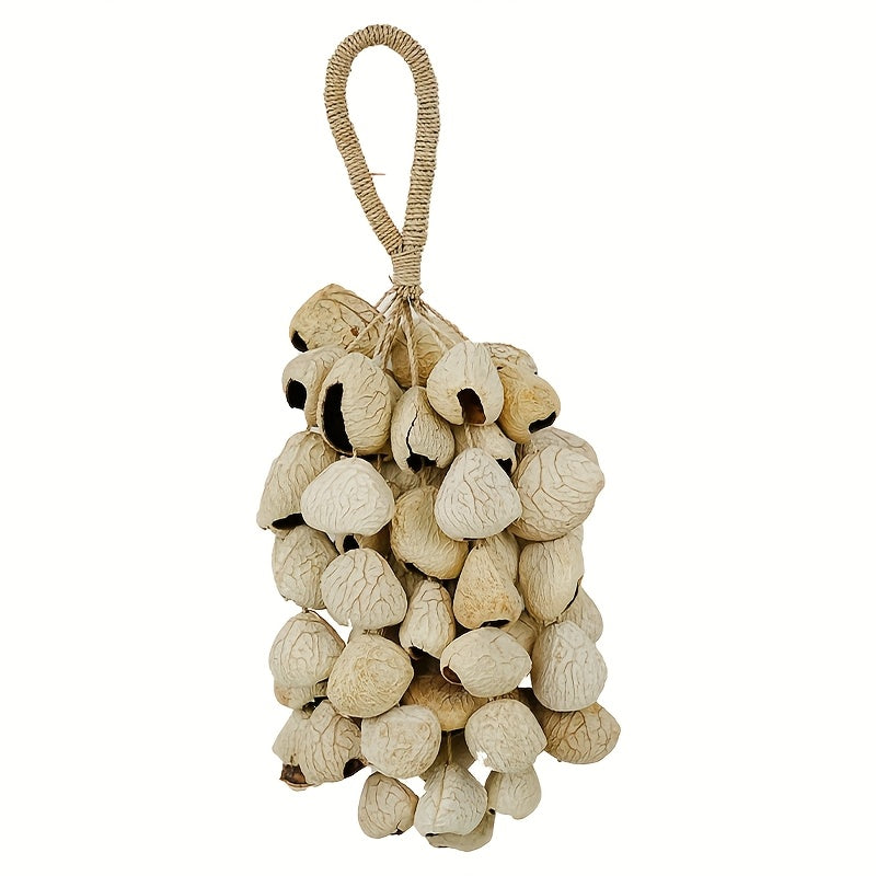 Seed Shell Shaker Percussion for ASMR and Meditation