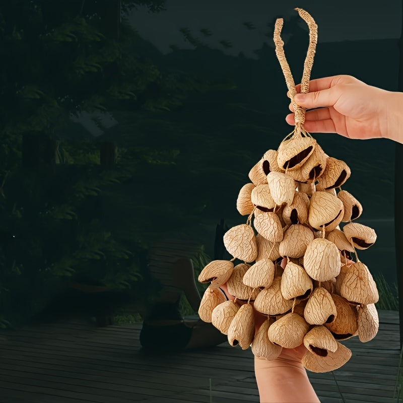 Seed Shell Shaker Percussion for ASMR and Meditation