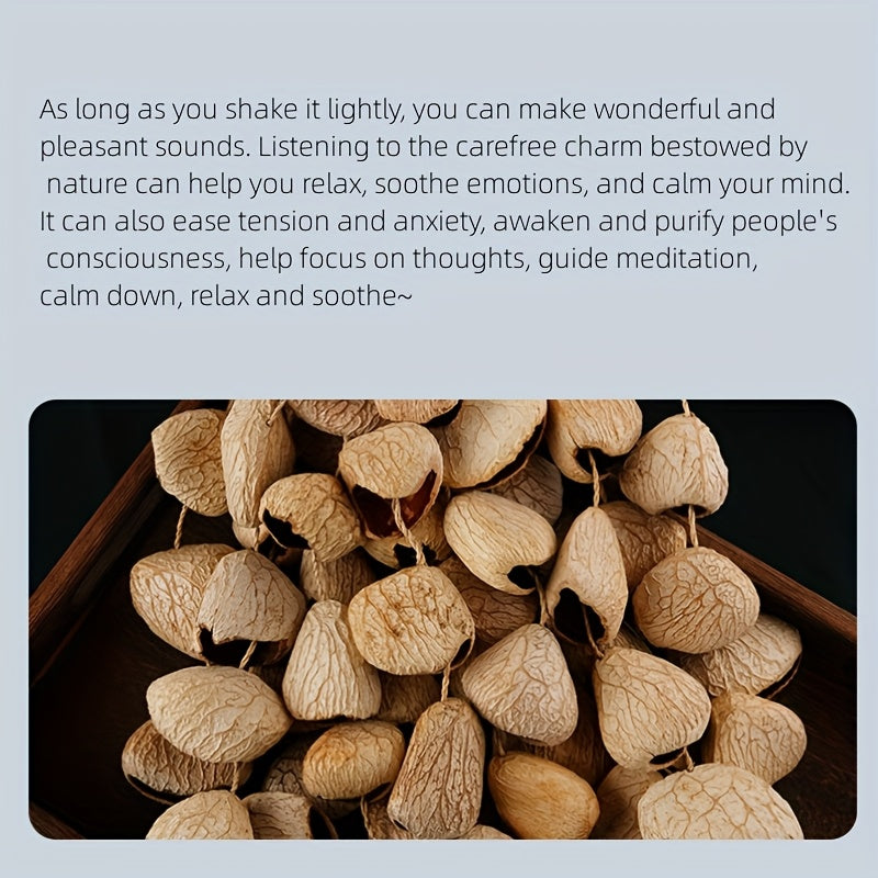Seed Shell Shaker Percussion for ASMR and Meditation