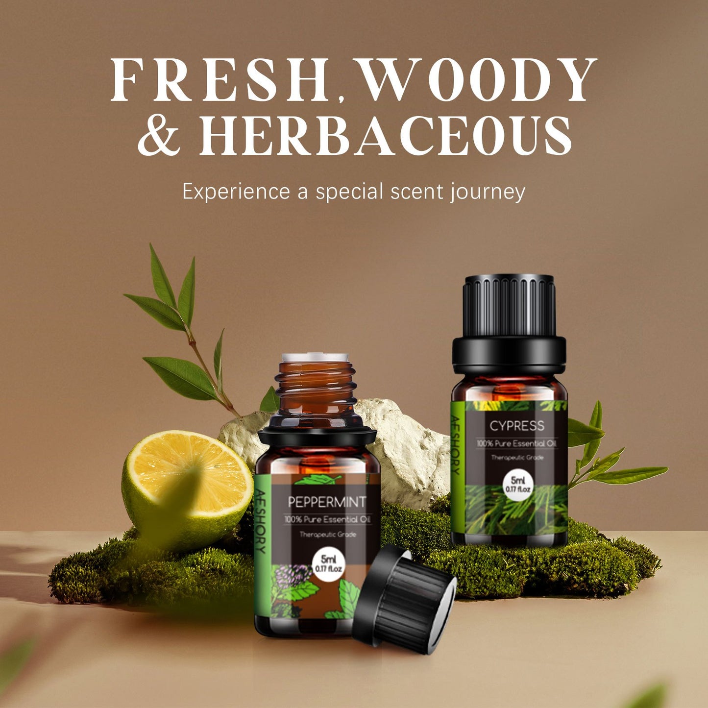 Totatuit Woody And Herbal Essential Oils Set 14 Fragrances