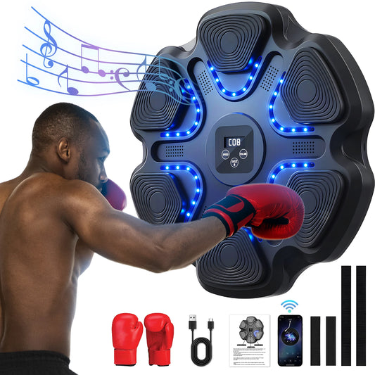 Intelligent Boxing Trainer With Sound And Light Feedback