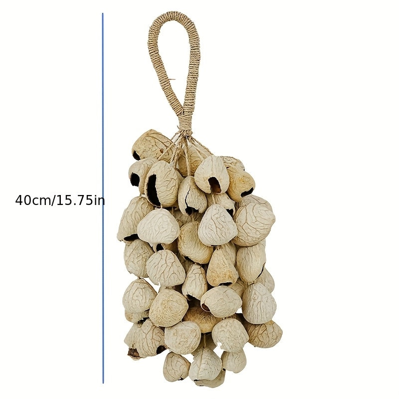 Seed Shell Shaker Percussion for ASMR and Meditation
