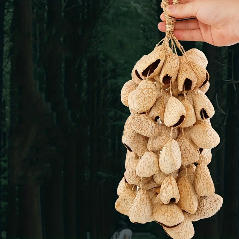 Seed Shell Shaker Percussion for ASMR and Meditation