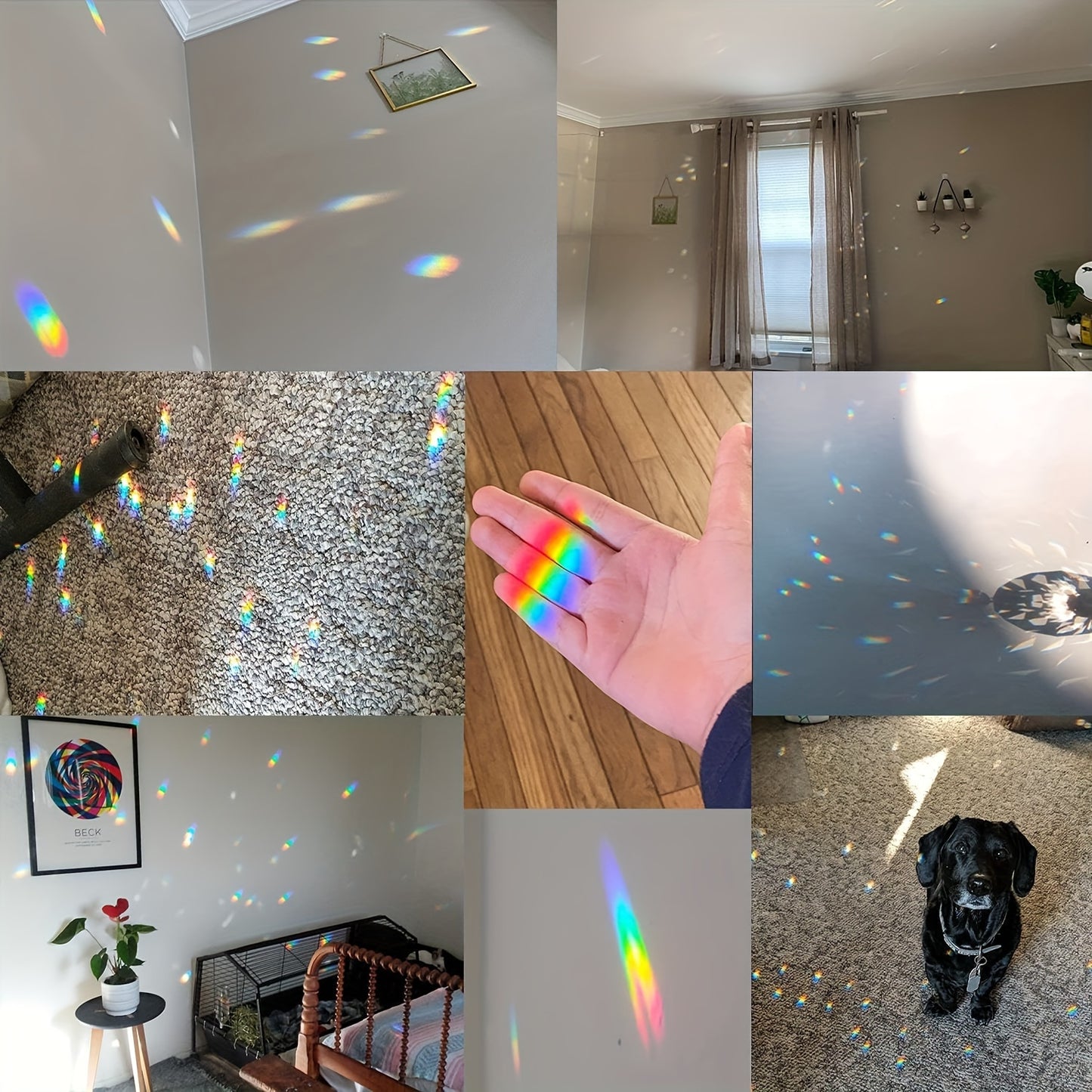 Blossom Radiate Crystal Glass Ball Rainbow Prism Home Decor